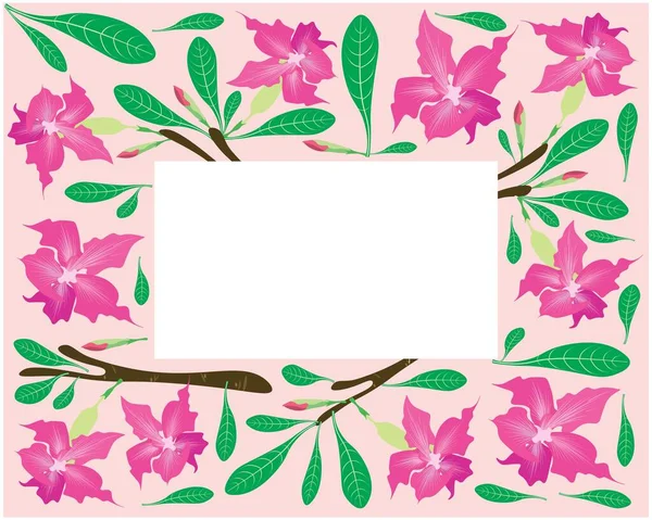 Schöne Blume Illustrationsrahmen Aus Rosa Wüstenrosenblüten Oder Rosa Bignonia Blüten — Stockvektor