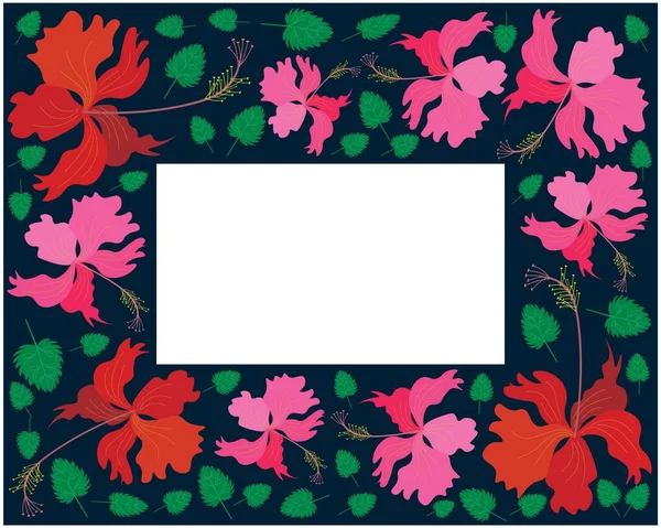 Schöne Blume Illustrationsrahmen Aus Frischen Bunten Hibiskusblüten Rosenmalve Oder Bunga — Stockvektor