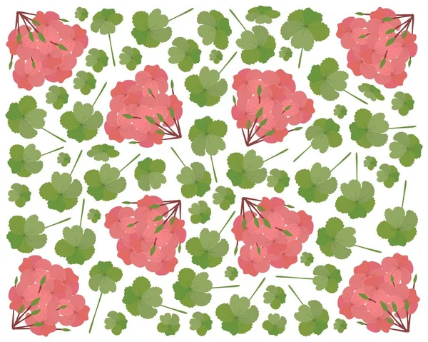 Schöne Blume Illustration Bündel Von Schönen Roten Geranienblüten Oder Pelargonien — Stockvektor