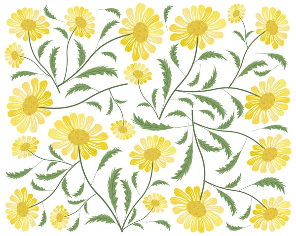 爱情的象征 明亮美丽的黄色菊花或Gerbera花的背景 — 图库矢量图片