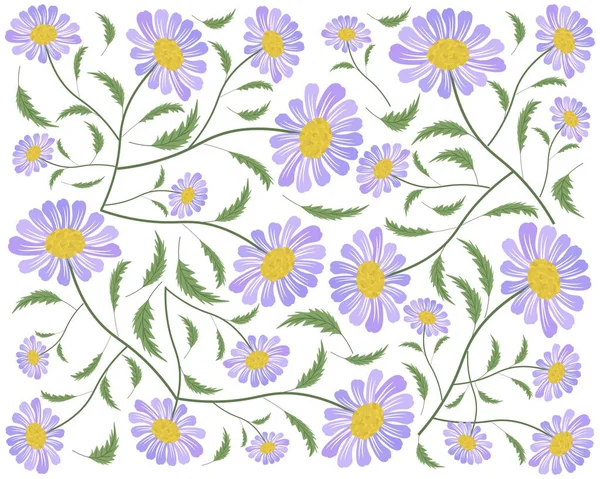 Symbol Lásky Pozadí Jasných Krásných Fialových Daisy Nebo Gerbera Květiny — Stockový vektor