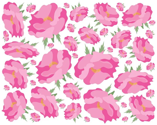 美丽的花朵 美丽的粉色达摩玫瑰背景图 — 图库矢量图片