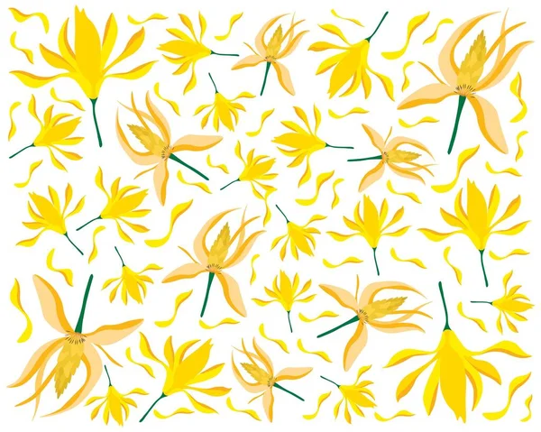 Beautiful Flower Illustration Background Yellow Champaka Magnolia Champaca Flowers Green — Stock Vector