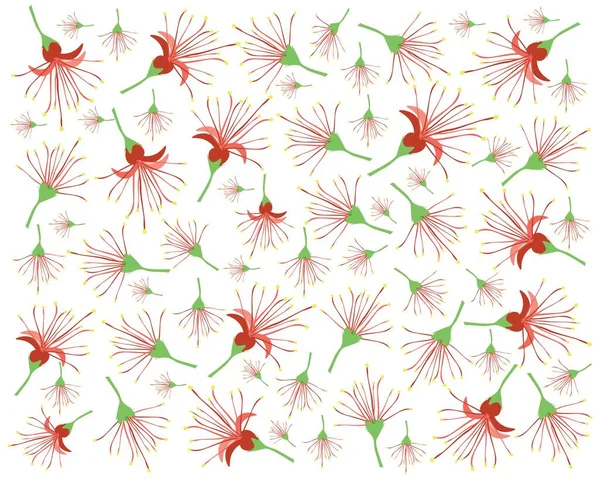 Hermosa Flor Fondo Ilustración Roble Indio Barringtonai Acutangula Flores Manglar — Vector de stock