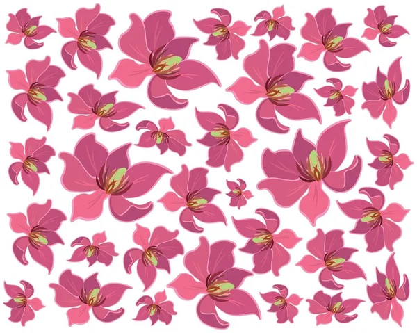 Schöne Blume Illustration Hintergrund Von Wein Magnolia Blume Oder Magnolia — Stockvektor