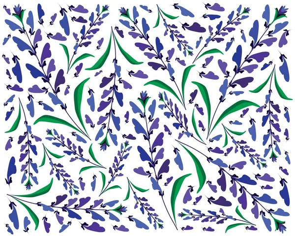 Красивый Цветок Иллюстрация Фон Синий Шалфей Цветы Сальвия Sclarea Цветок — стоковый вектор