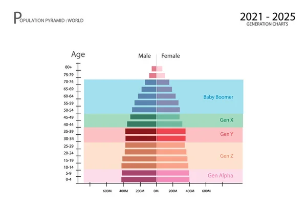 Nüfus Nüfus Nüfus Nüfus Piramitleri Çizelgesi Veya Bebek Boomers Üretimi — Stok Vektör