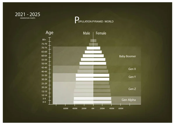 Nüfus Nüfus Nüfus Nüfus Piramitleri Çizelgesi Veya Yaş Yapısı Grafiği — Stok Vektör