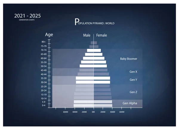 Nüfus Nüfus Nüfus Nüfus Piramitleri Çizelgesi Veya Yaş Yapısı Grafiği — Stok Vektör