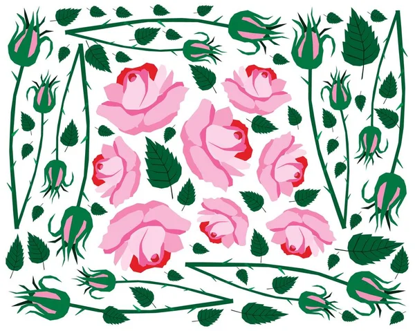 Όμορφο Λουλούδι Εικονογράφηση Ιστορικό Φωτεινό Και Όμορφο Ροζ Τριαντάφυλλα — Διανυσματικό Αρχείο