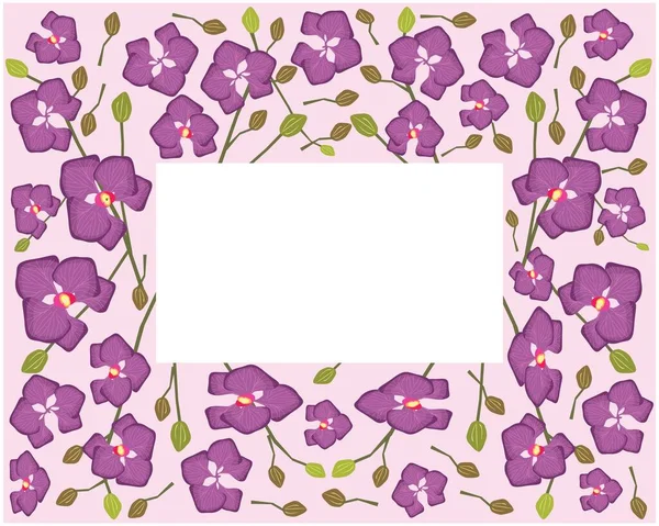 Квіти Рослини Ілюстрації Форма Прекрасного Пурпурового Фаланопсису Або Стрибка Орхідей — стоковий вектор