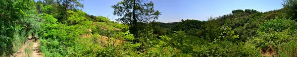 Panoramique des collines italiennes — Photo