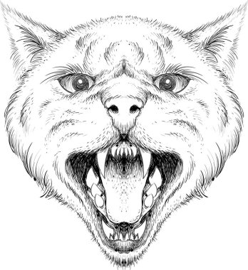 Dövme ya da tişört tasarımı için Vektör logosu. Şirin baskı tarzı kedi arka planı. Bu el çizimini siyah kumaş ya da tuval üzerinde yapmak iyi olurdu.