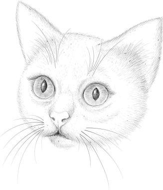 Kedi vektörü sanat illüstrasyonu tişört giysisi dövme tasarımı veya giysisi. Şirin yazdırma tarzı kedi arkaplanı.