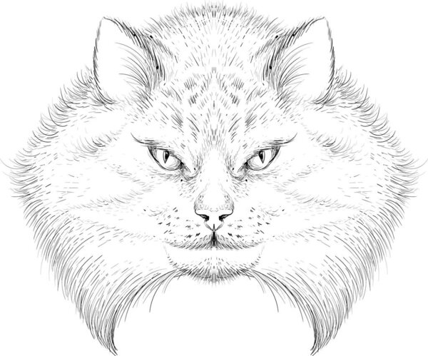 Кошачья векторная иллюстрация рисунок футболки дизайн одежды татуировки или наружной одежды. Симпатичный принт на фоне котенка.