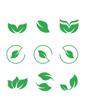 Yeşil yaprak simgesi vektör ayarlandı. Ekoloji ve Doğa sembolü