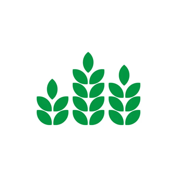 Wheat Icon Logo Design Inspiration Vector Template — Stock Vector