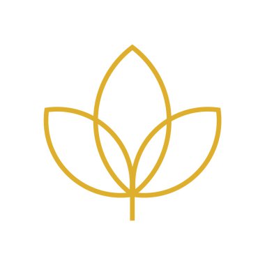 Esrar akçaağaç logo simgesi vektörü