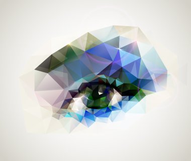 kadın göz çokgenler düzenlendi