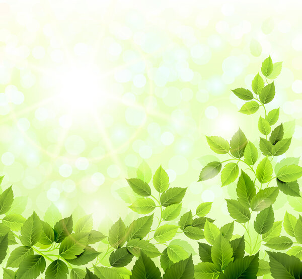 Летняя поляна со свежими зелеными листьями
