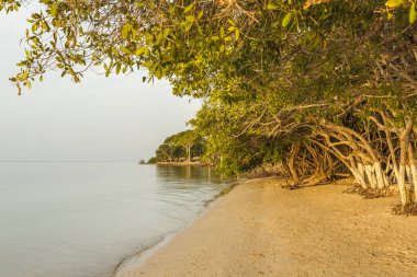 Güneşin doğuşunda terk edilmiş güzel sahil