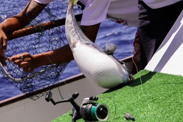 Fuga de pesca — Fotografia de Stock