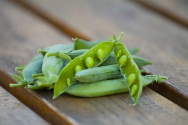 Yeşil elmanın yarısı tablo