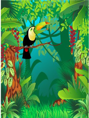 egzotik tropik ormandaki bir toucan