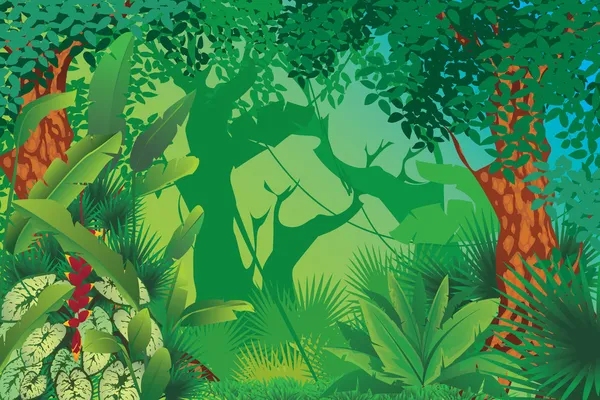 Exotiska tropiska skogen — Stock vektor