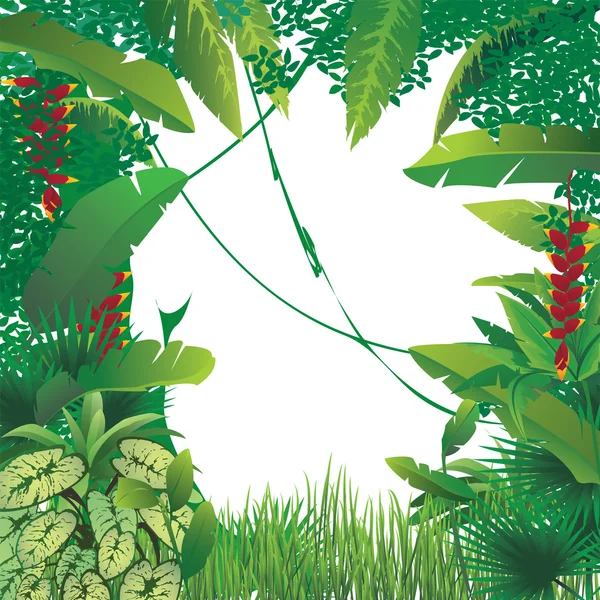 エキゾチックな熱帯雨林 — ストックベクタ