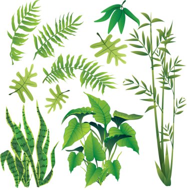 plants clipart