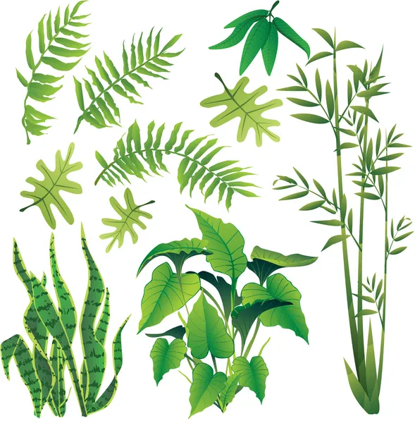 Planten — Stockvector