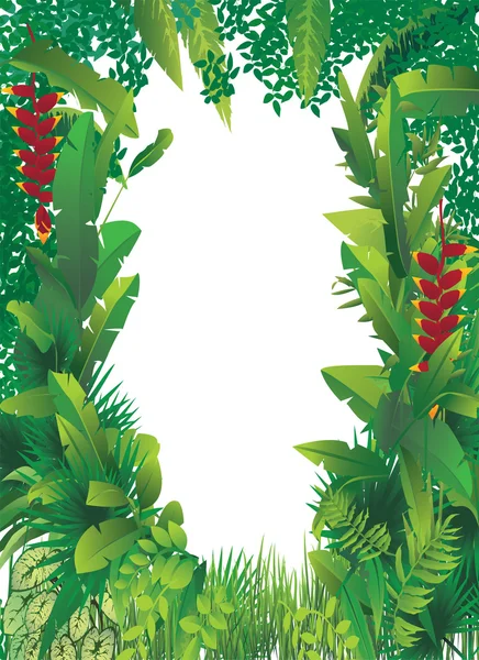 Bosque tropical exótico — Archivo Imágenes Vectoriales