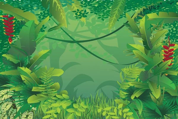 Bosque tropical exótico — Vector de stock