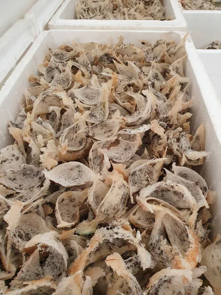 İşlenmemiş taze Kırlangıç Yuvası, yenilebilir Asya yemeği.