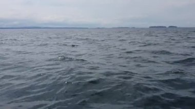 Denizde yüzen bir sürat teknesinin görüntüsü. Waterscape arka planı. Okyanus dalgaları, su dalgaları.