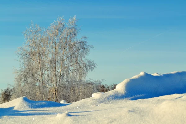 Vinterdag i stäppen — Stockfoto