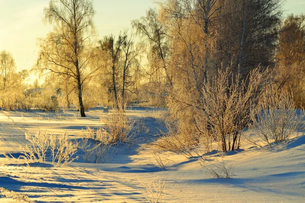 Le soleil s'assied dans la journée d'hiver la plus courte — Photo