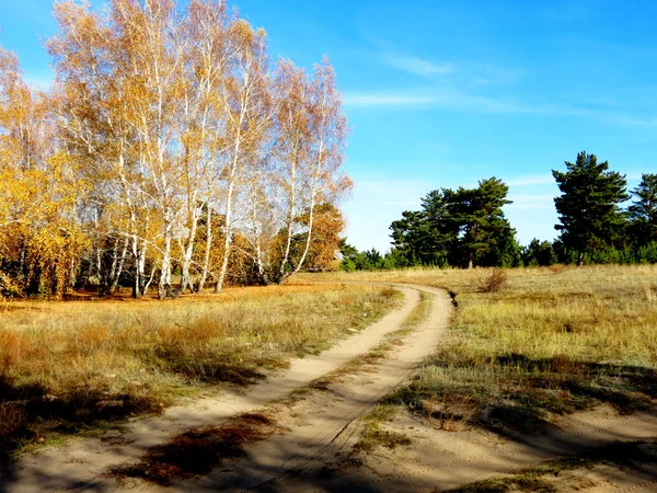 Caduta nella foresta-steppa — Foto Stock