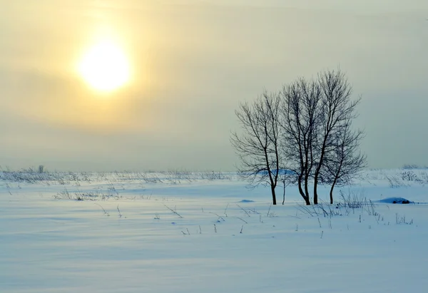 Winterabend — Stockfoto