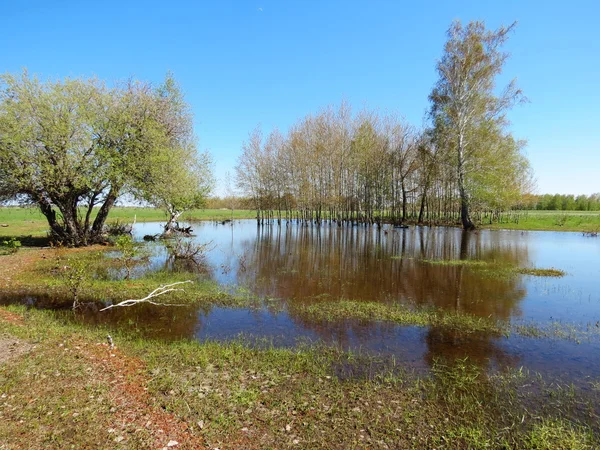 Spring high water — Stock Photo, Image