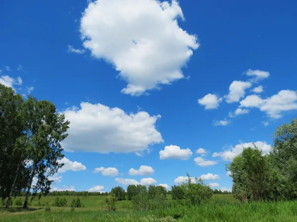 Hemel en steppe — Stockfoto