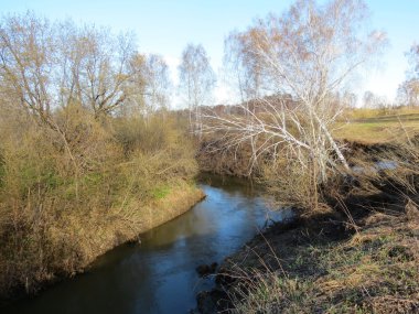 Orman-steppes bahar
