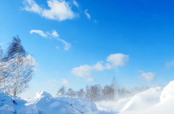 Altaisk vinter – stockfoto
