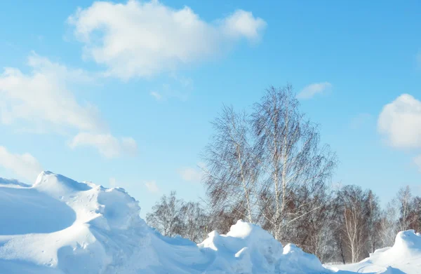 Invierno altaico — Foto de Stock