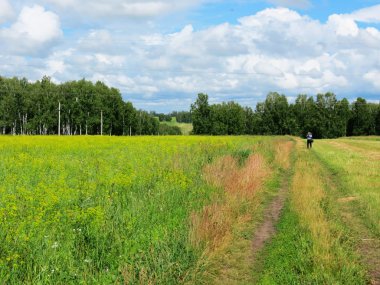 Yaz aylarında bozkır