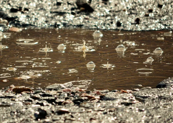 Chuva de outono — Fotografia de Stock