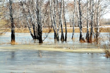 ilkbaharda steepe kenar