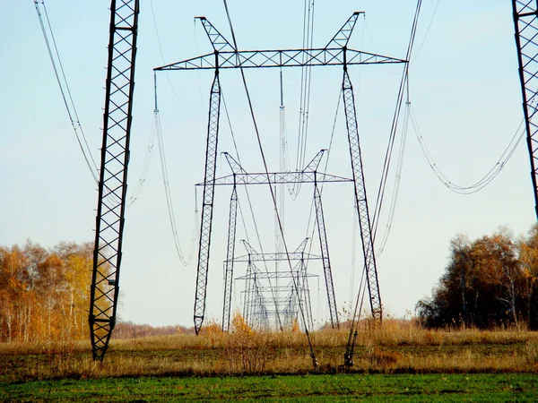 Ligne électrique — Photo