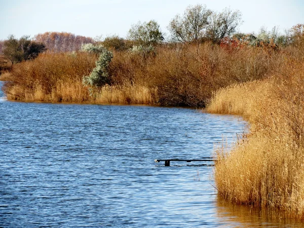 Natura altaya — Zdjęcie stockowe